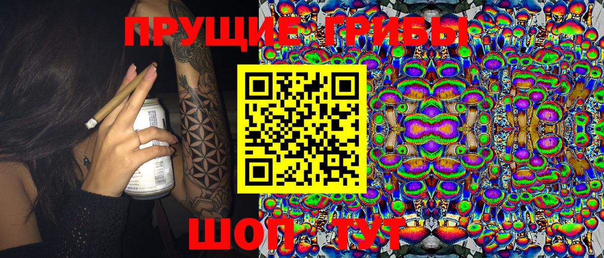 Избербаш  Галлюциногенные грибы Psilocybine cubensis  Вход с VPN 